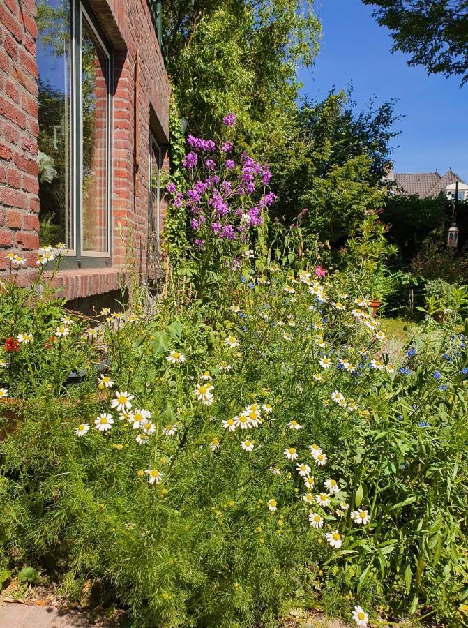 De Vliegende Vlinder Bed & Breakfast Nederweert Eksteriør bilde