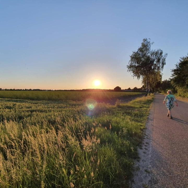 De Vliegende Vlinder Bed & Breakfast Nederweert Eksteriør bilde