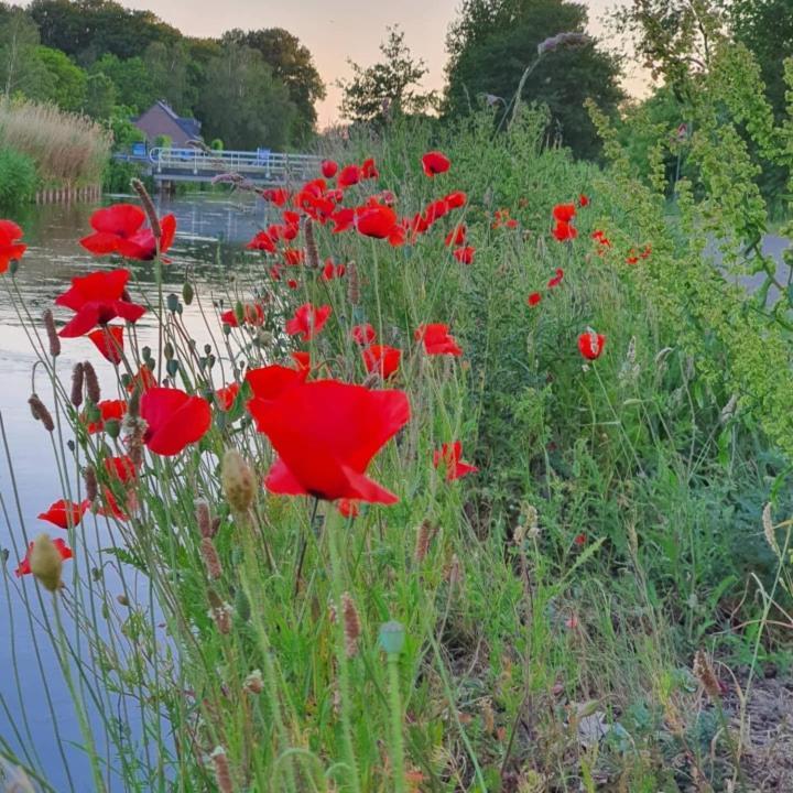 De Vliegende Vlinder Bed & Breakfast Nederweert Eksteriør bilde