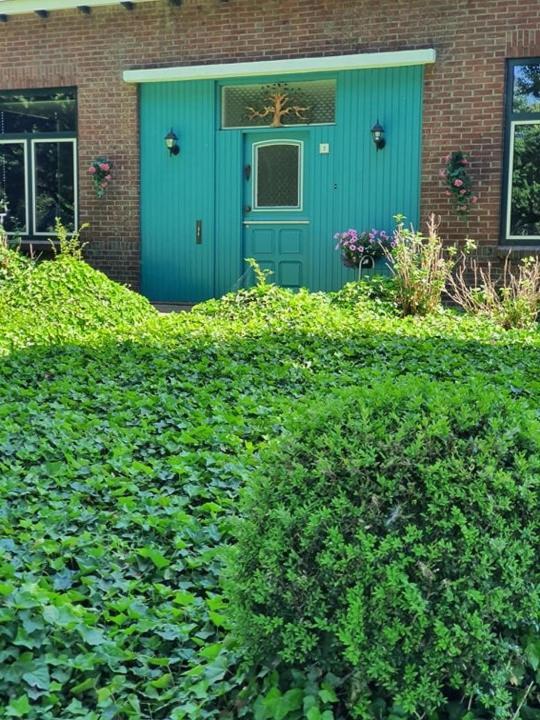 De Vliegende Vlinder Bed & Breakfast Nederweert Eksteriør bilde