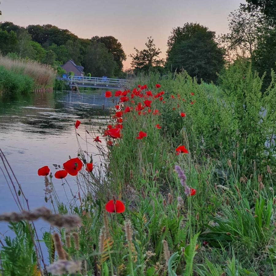 De Vliegende Vlinder Bed & Breakfast Nederweert Eksteriør bilde